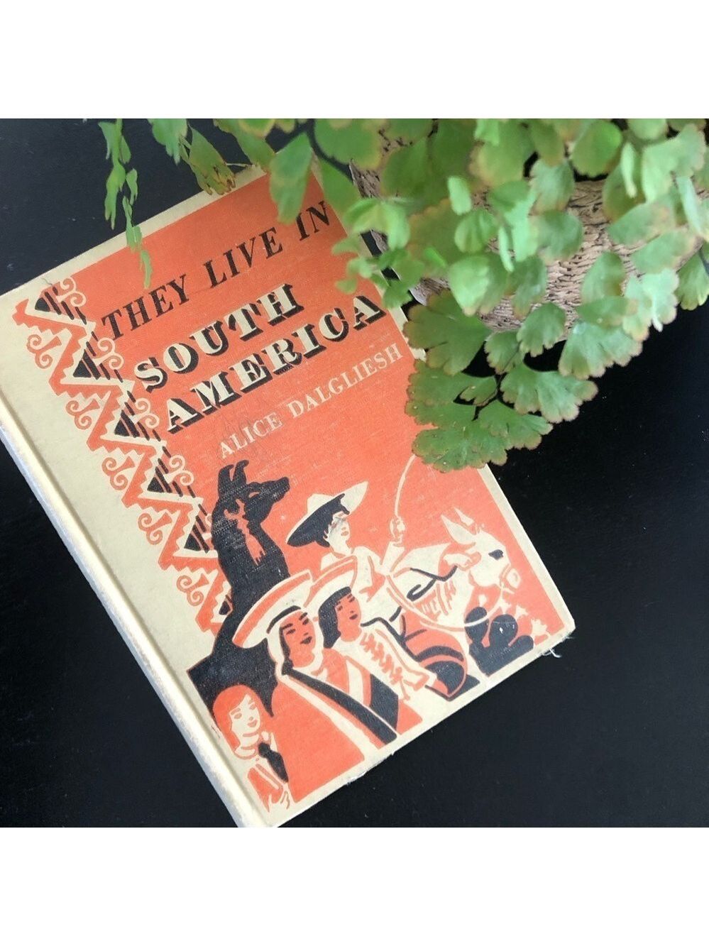 Vintage Book South American history - They Live in South America - 1947 textbook